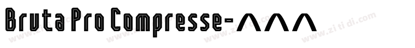 Bruta Pro Compresse字体转换
